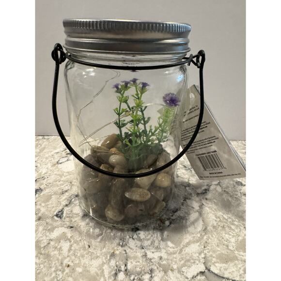 Hanging Succulent Jar LED Patio Lantern - 3” W x 6” H x 4” L - Picture 1 of 6